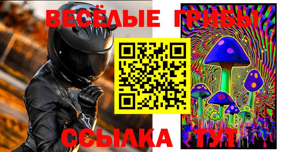 Псилоцибиновые грибы Cubensis Камень-на-Оби